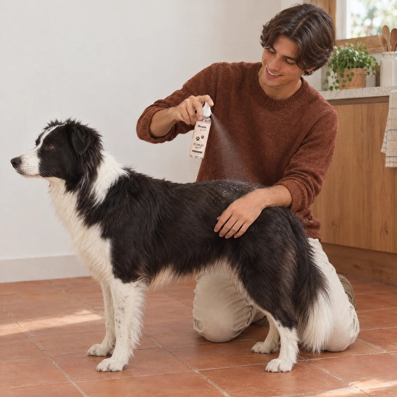 Pet perfumes and care