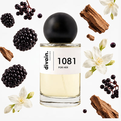divain-1081 notas