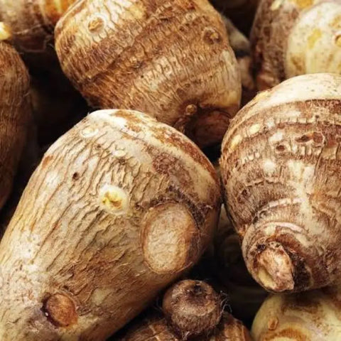 Wild yam