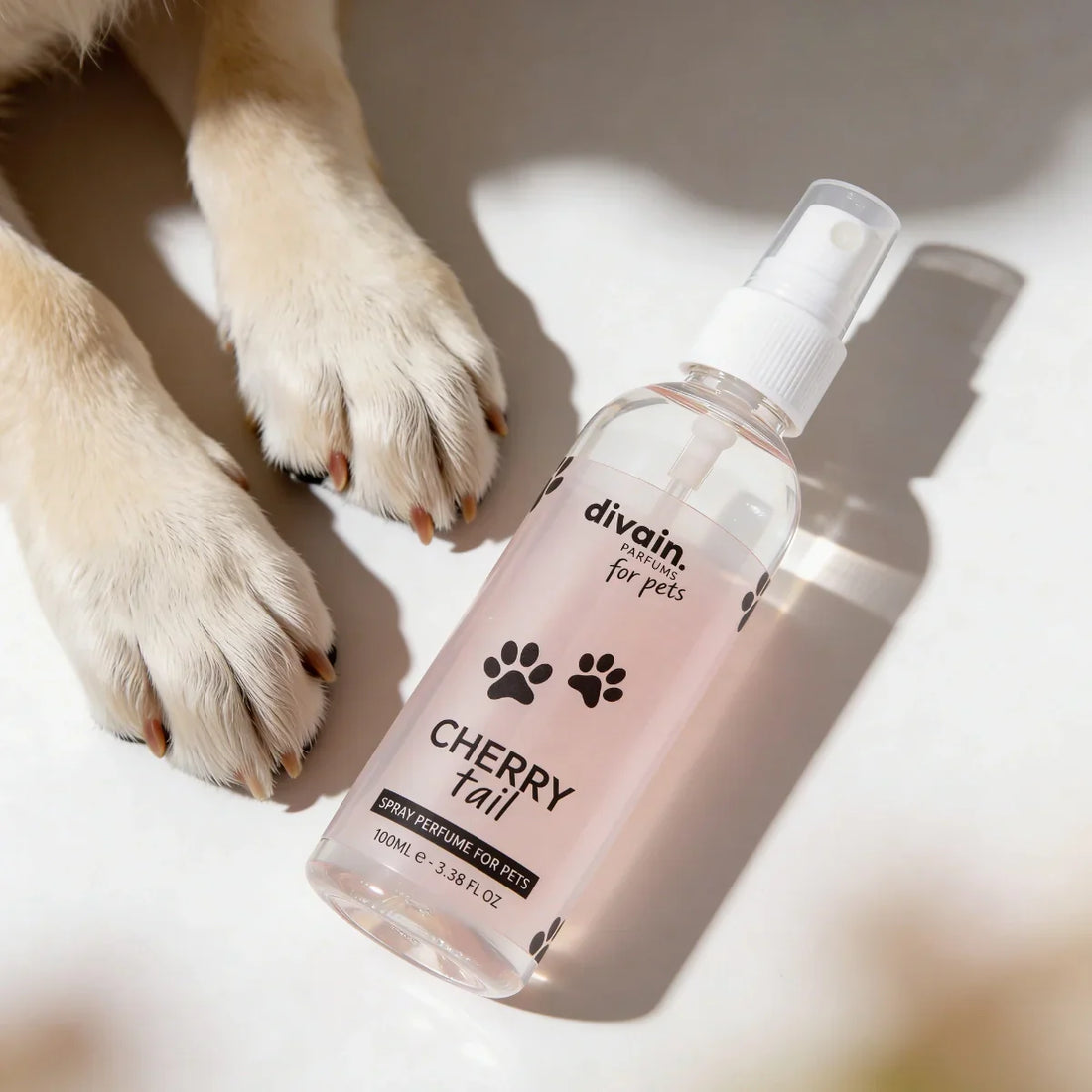 perfume cherry tail cerca de las patas de un perro