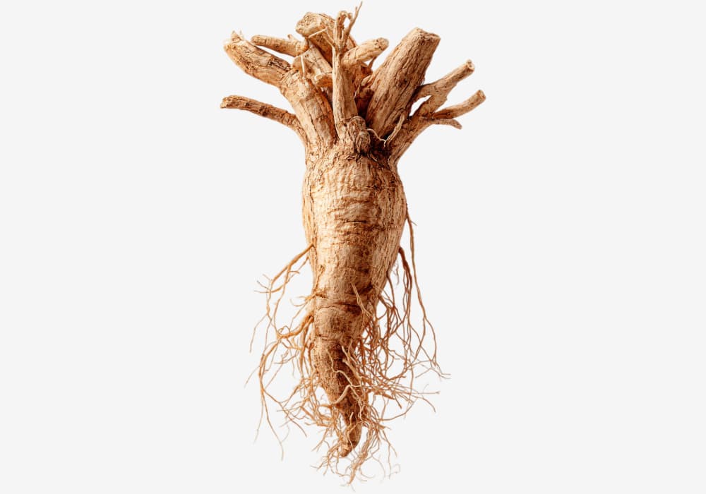 Ashwagandha — divain ZEN