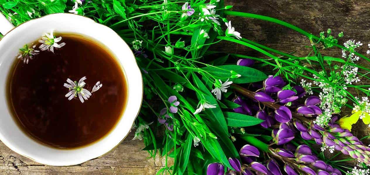 These are the health benefits of black tea 