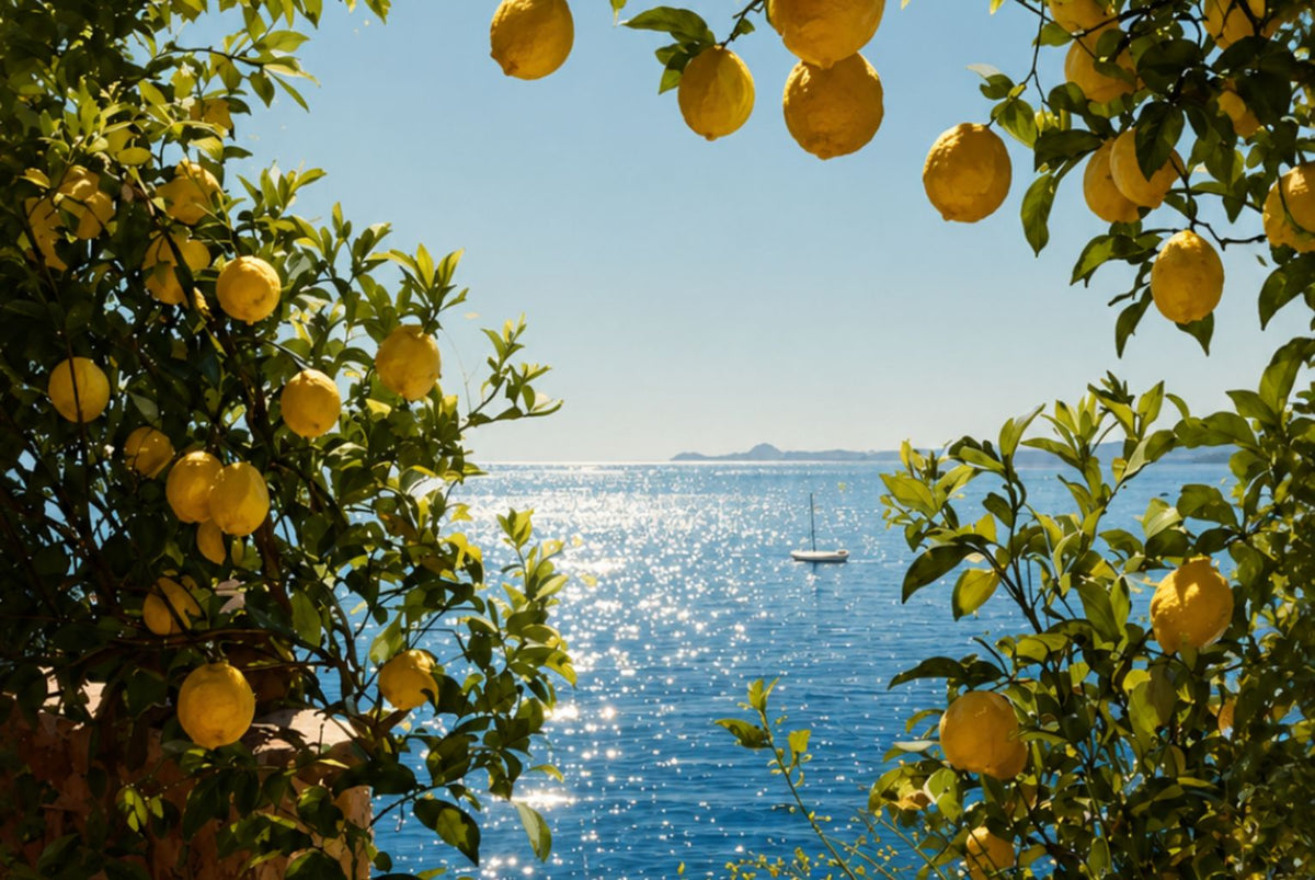 Aromas y lugares: La costa amalfitana