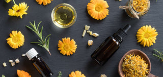  The properties of essential calendula oil are diverse and very beneficial for your health