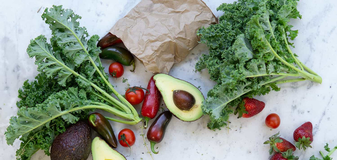 Hay muy diversos tipos de dietas dependiendo de las necesidades de cada organismo