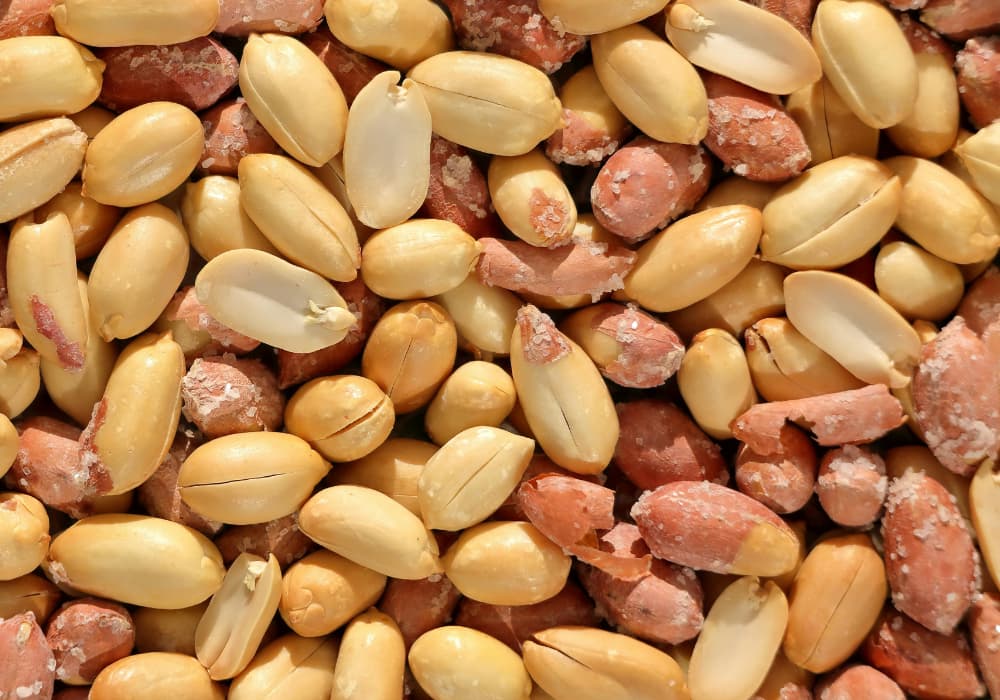 Vitamina B3 niacina — divain ZEN