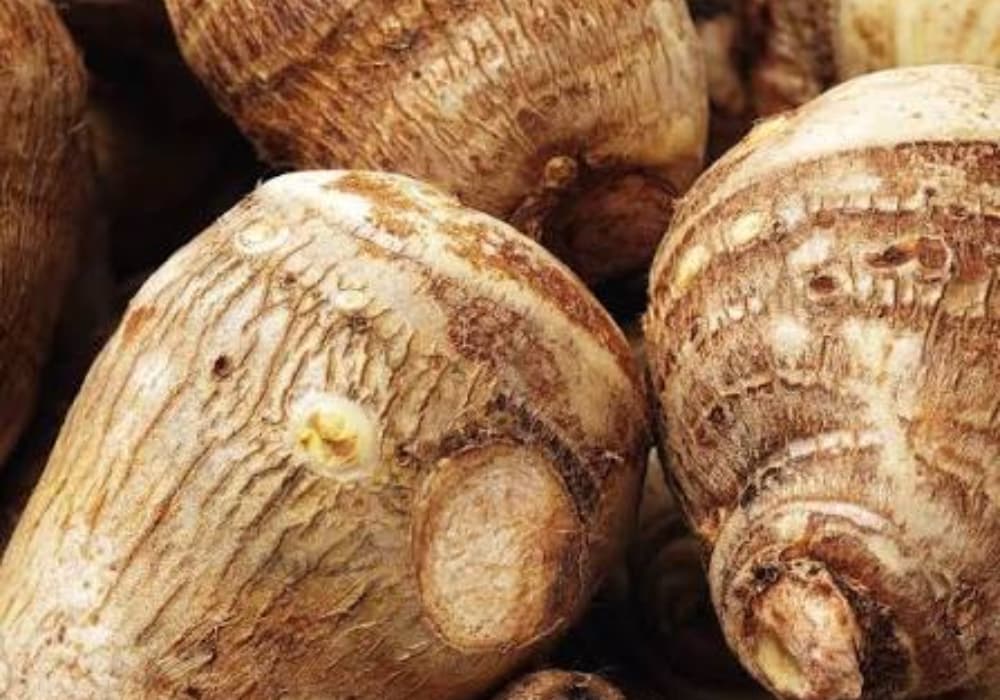 Ñame silvestre Wild Yam — divain ZEN