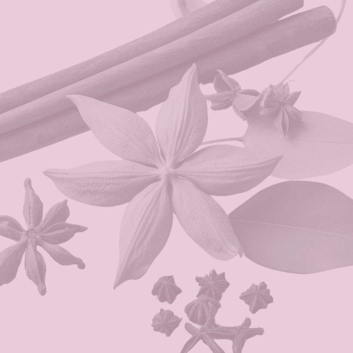 Perfumes orientales