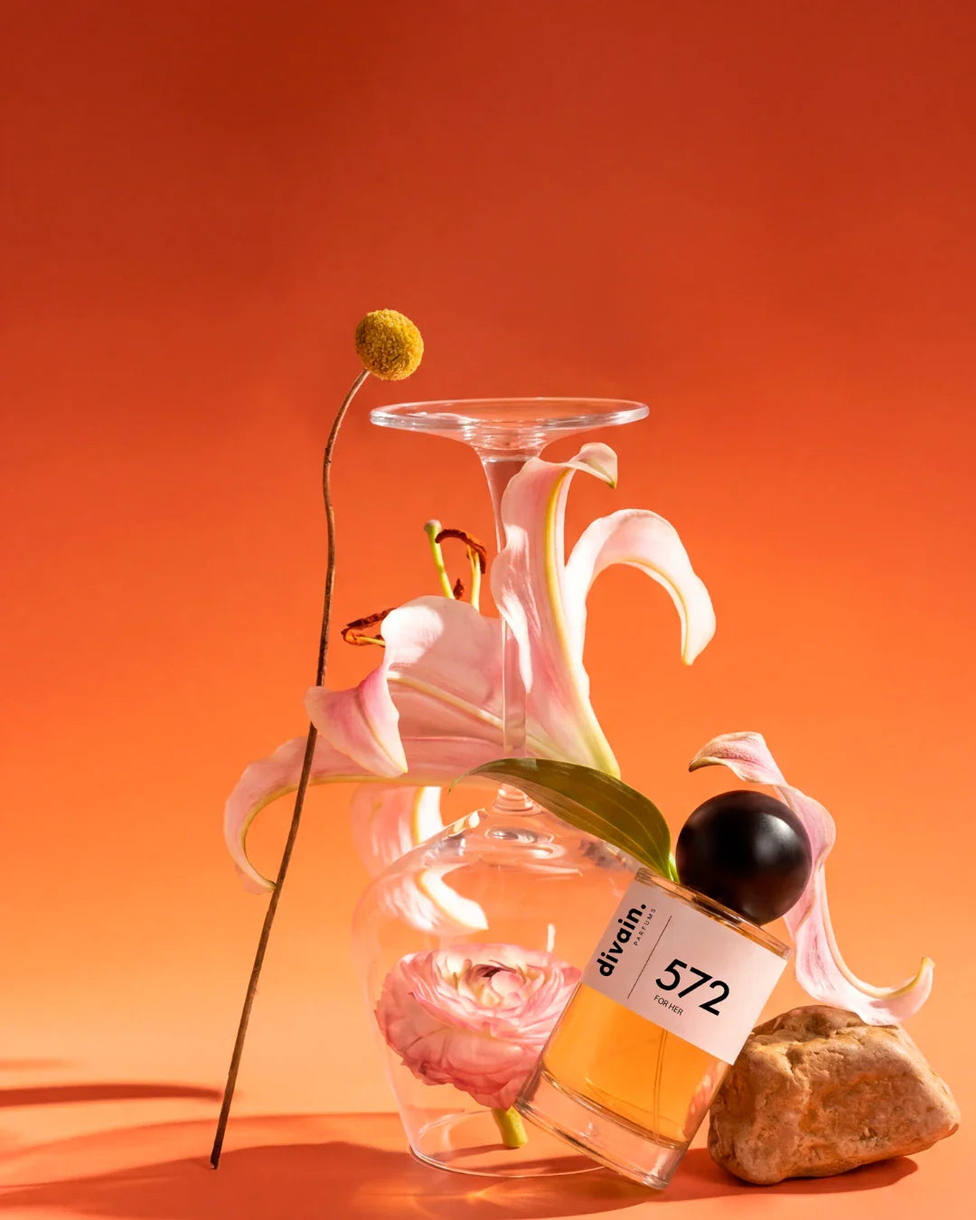 Todos los perfumes