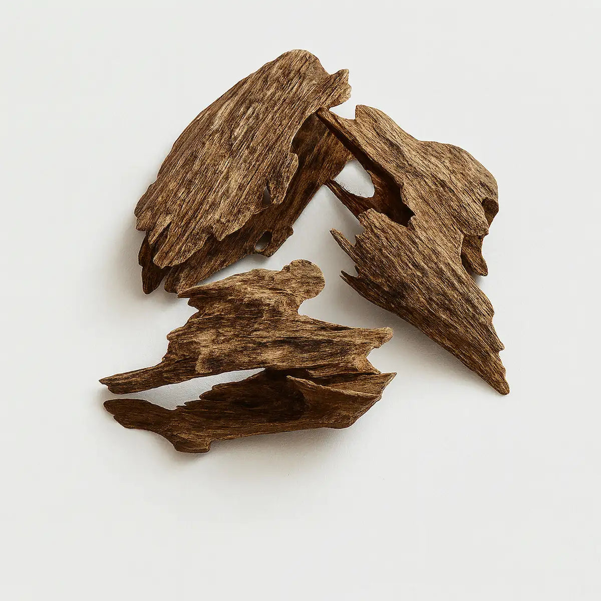 Perfumes de oud