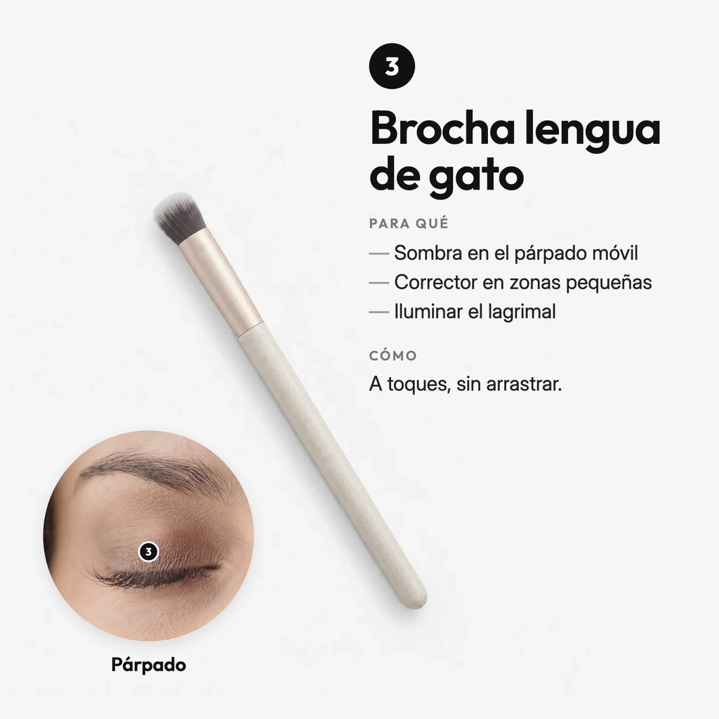 Makeup Brush Set
