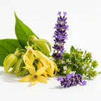 Dream Pure Essential Oil Blend