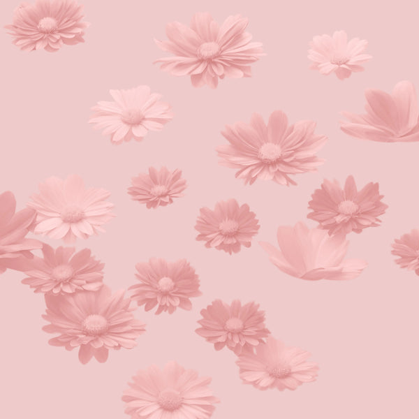 Floraux 🌸