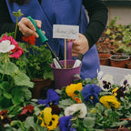 The Garden Collection Home Miniature Set