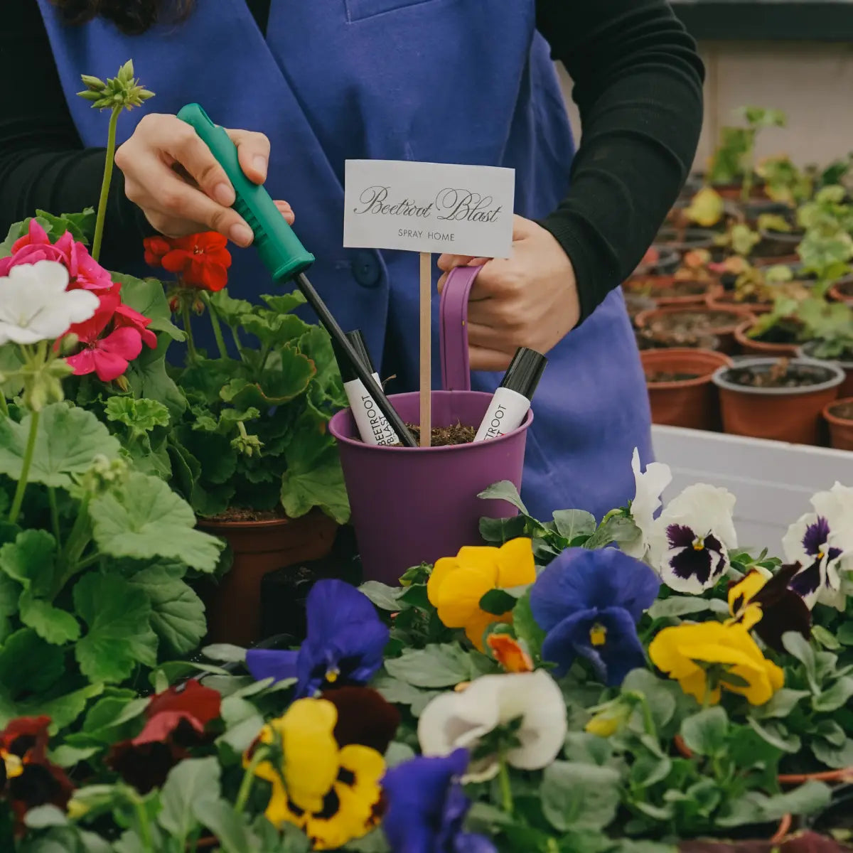 The Garden Collection Home Miniature Set