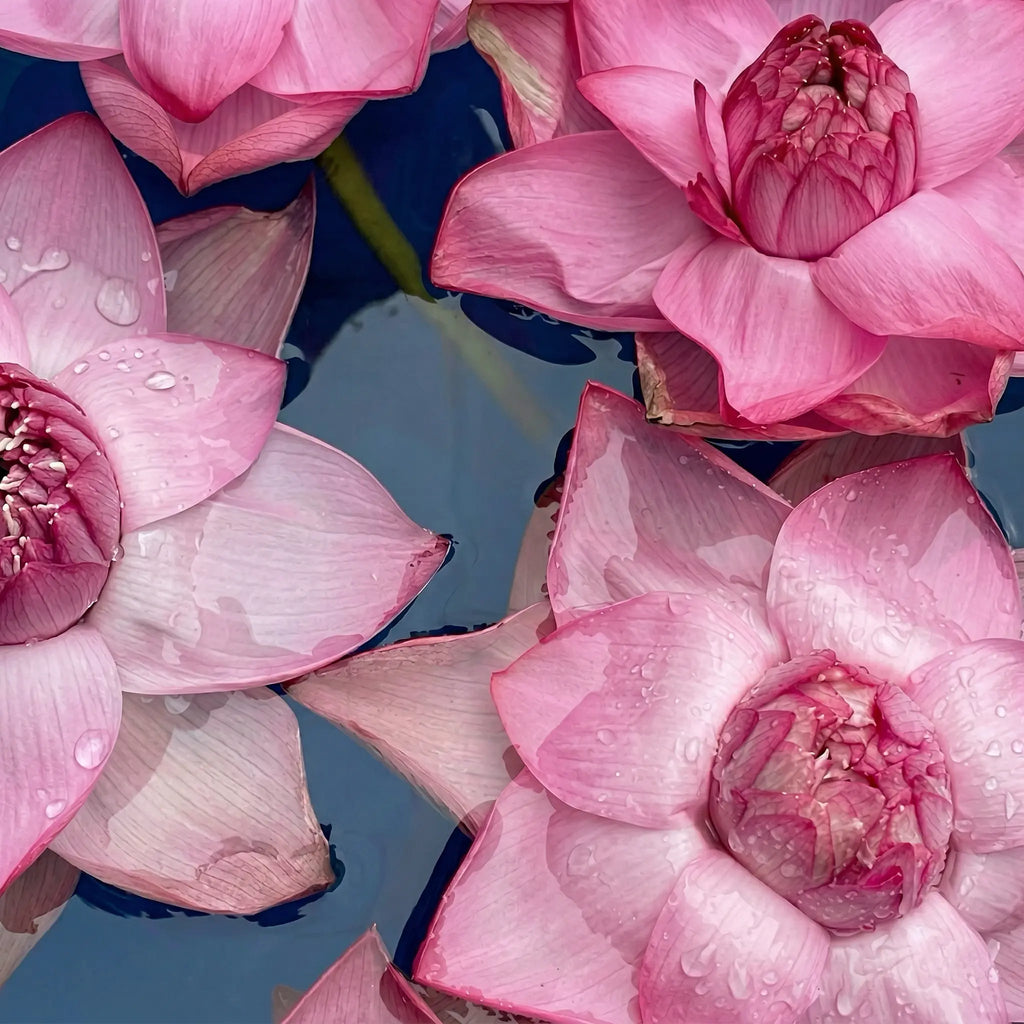 Fragancia textil Emotion