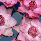 Fragancia textil Emotion