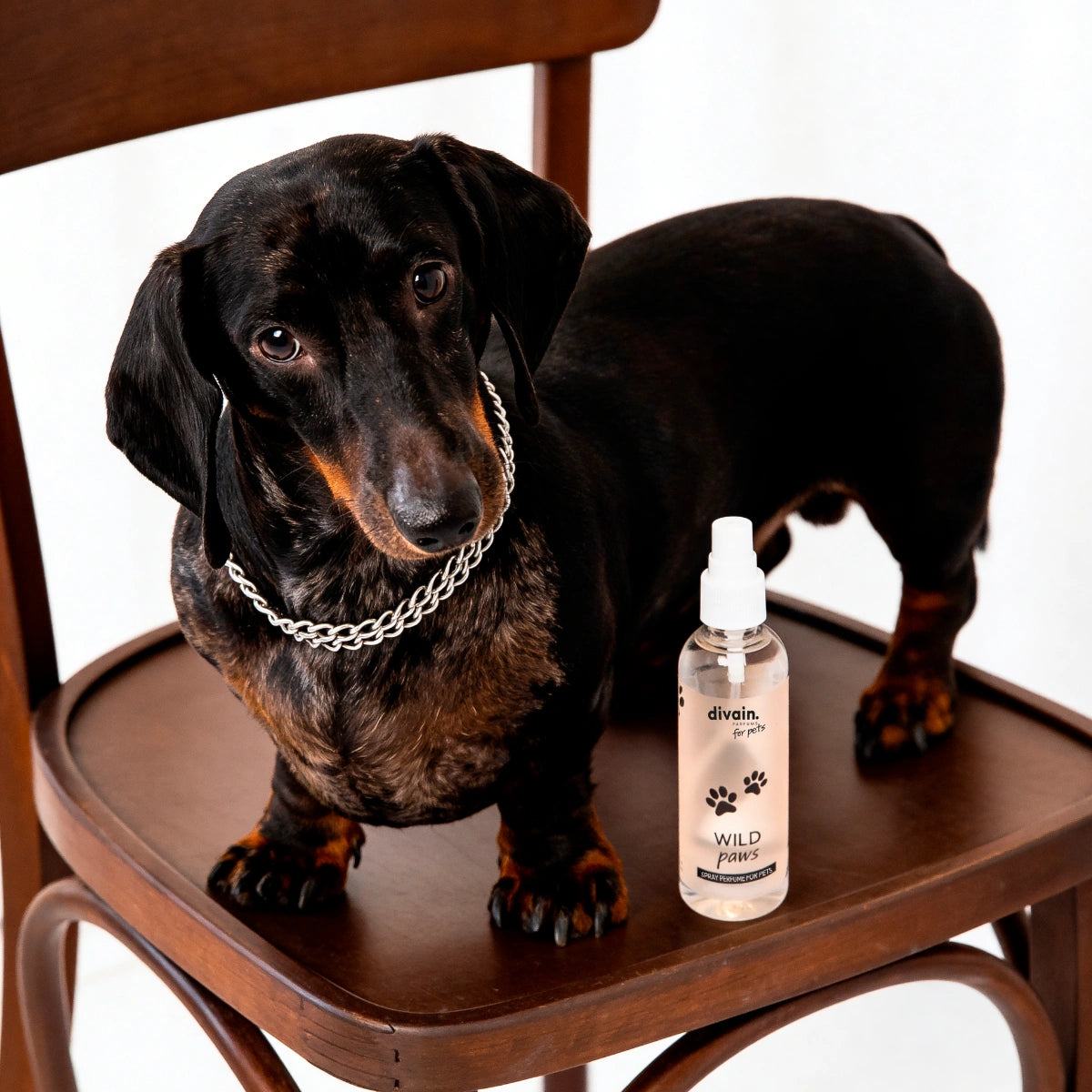 Wild Paws Scent for Pets