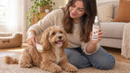 Tras pulverizar Creamy Cuddles a 15-20 cm sobre el lomo, cepillar para repartir el aroma