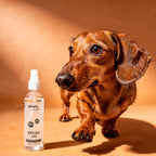 Spiced Soul Profumo per animali