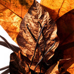 Spiced Soul Profumo per animali