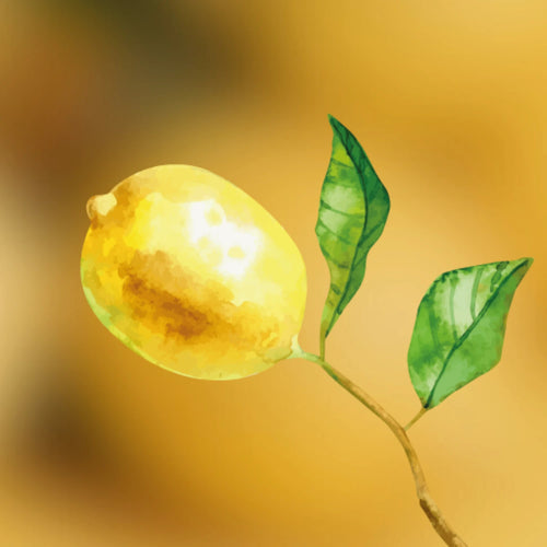 Citrus Fragrance Primer