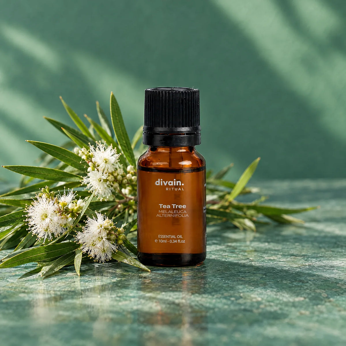 Aceite esencial de árbol de té con ramas y flores de melaleuca