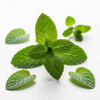 Pure Peppermint Essential Oil