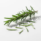 Pure Rosemary Essential Oil