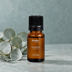 Aceite esencial de eucalipto con una rama de eucalipto