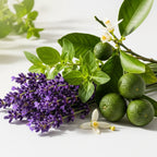 Serenity Pure Essential Oil Blend