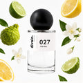 Pirámide olfativa perfume divain.027 | divain Parfums