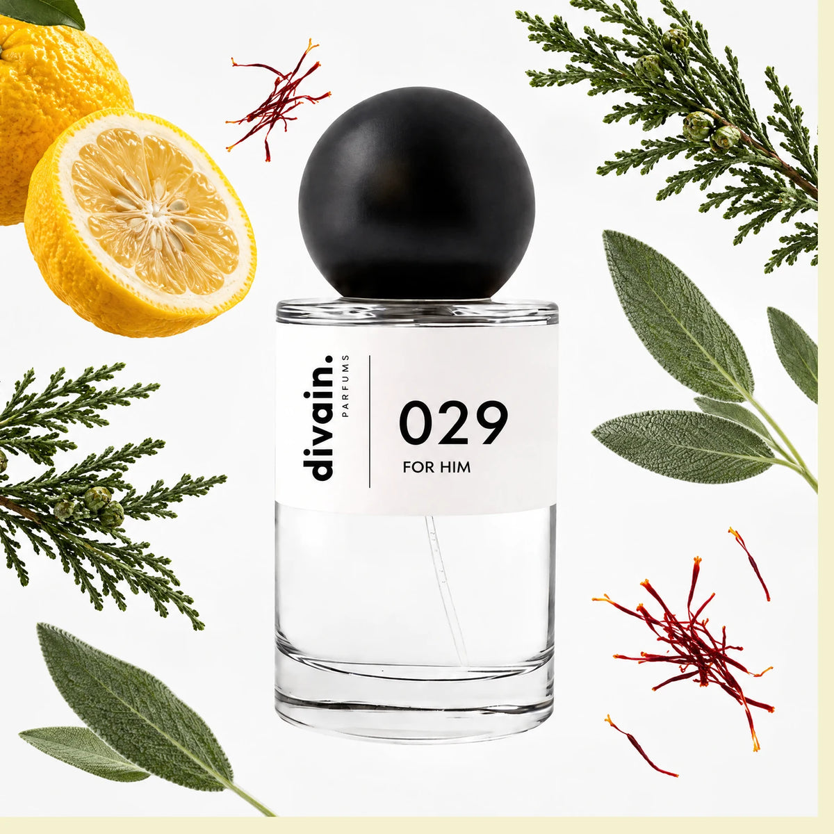 divain.029