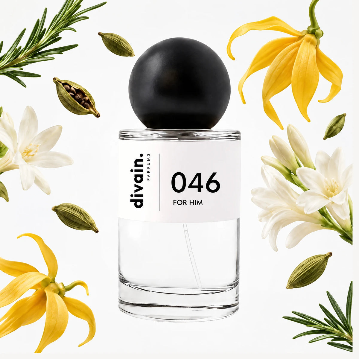 divain.046