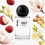 Pirámide olfativa perfume divain.067 | divain Parfums