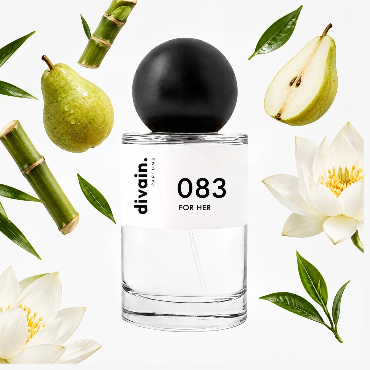 divain.083