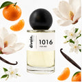 divain-1016 notas
