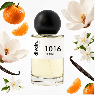 divain-1016 notas