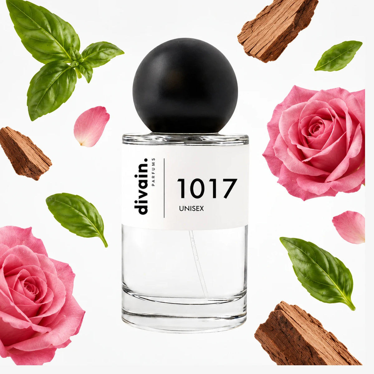divain-1017 notas