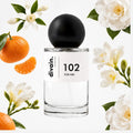 Pirámide olfativa perfume divain.102 | divain Parfums