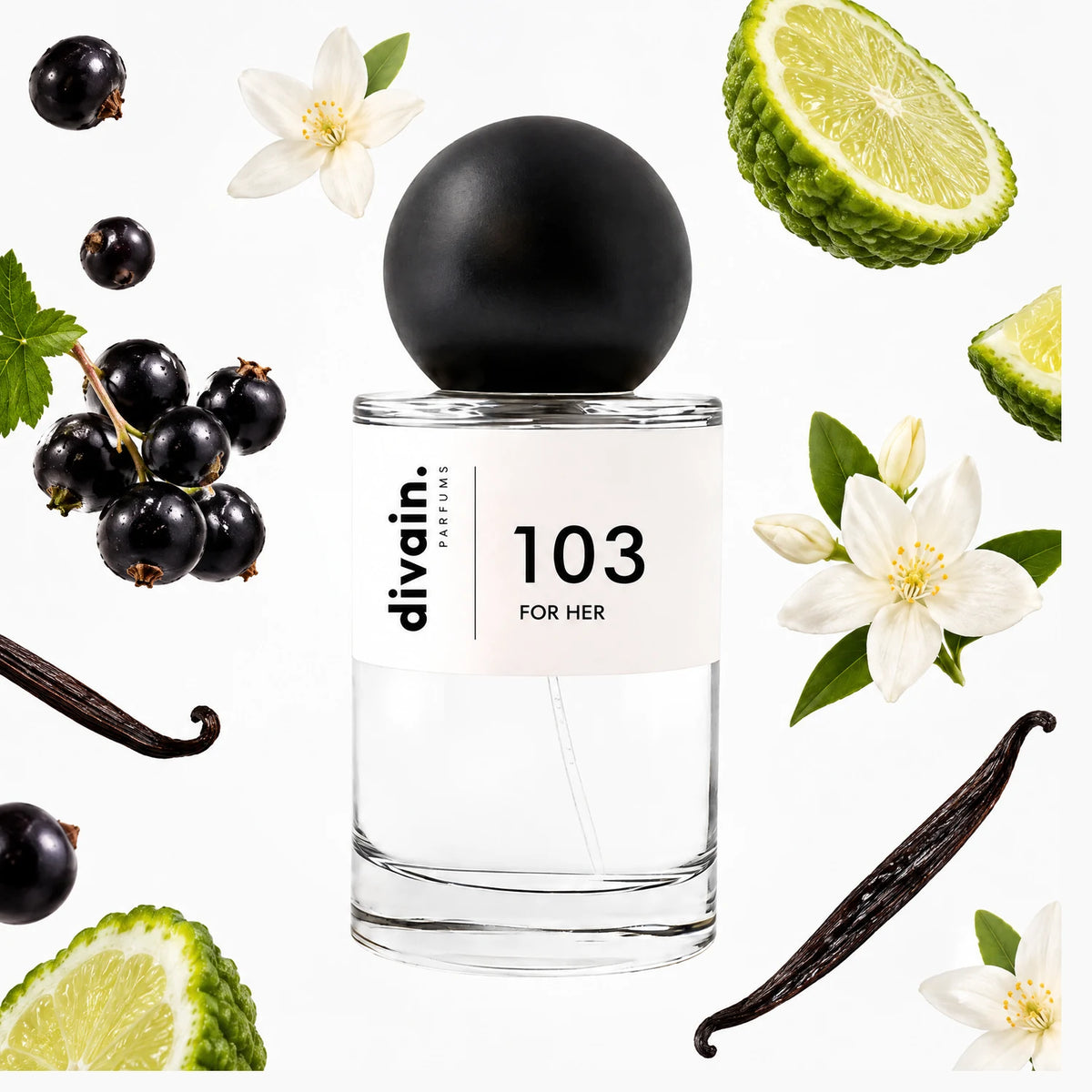 divain.103