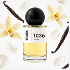 divain-1036 notas