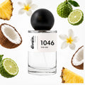 divain-1046 notas