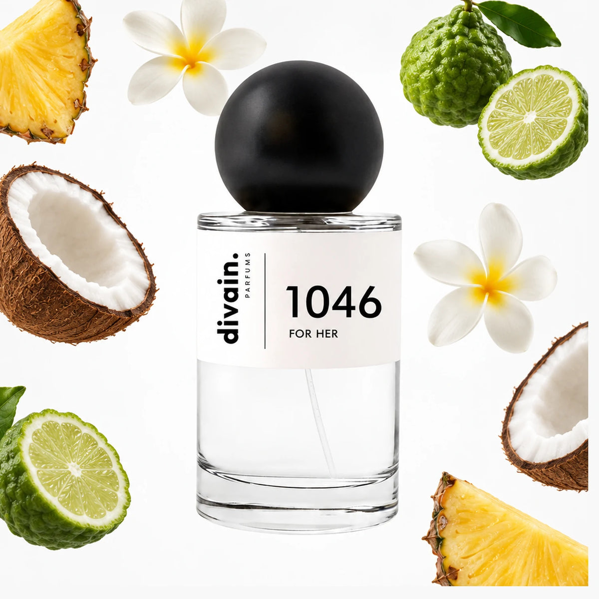 divain-1046 notas