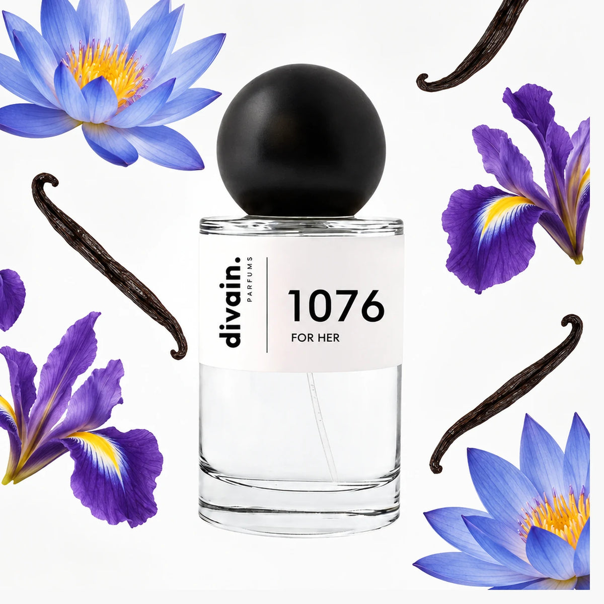 divain-1076 notas