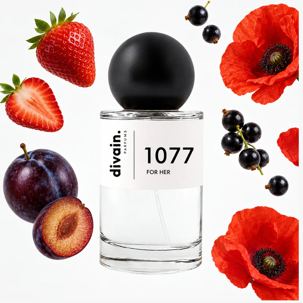 divain-1077 notas