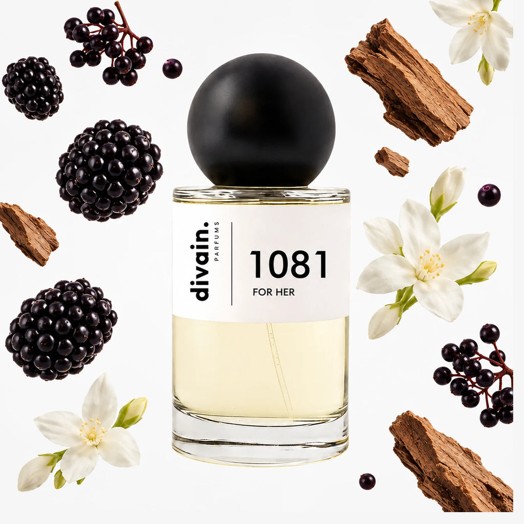 divain-1081 notas