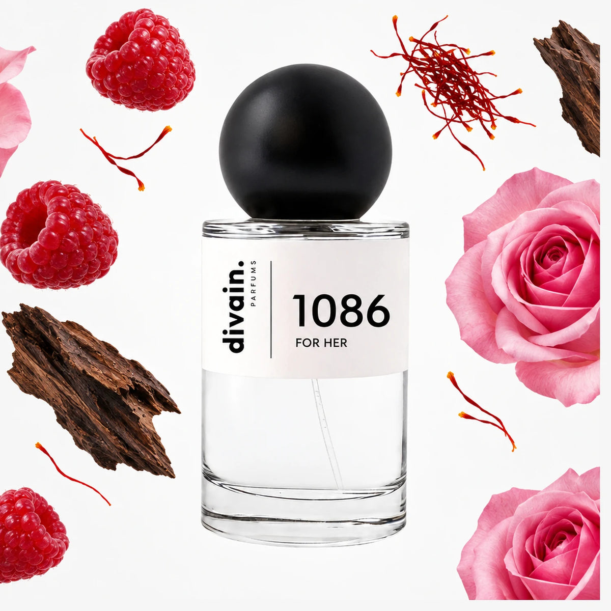 divain-1086 notas