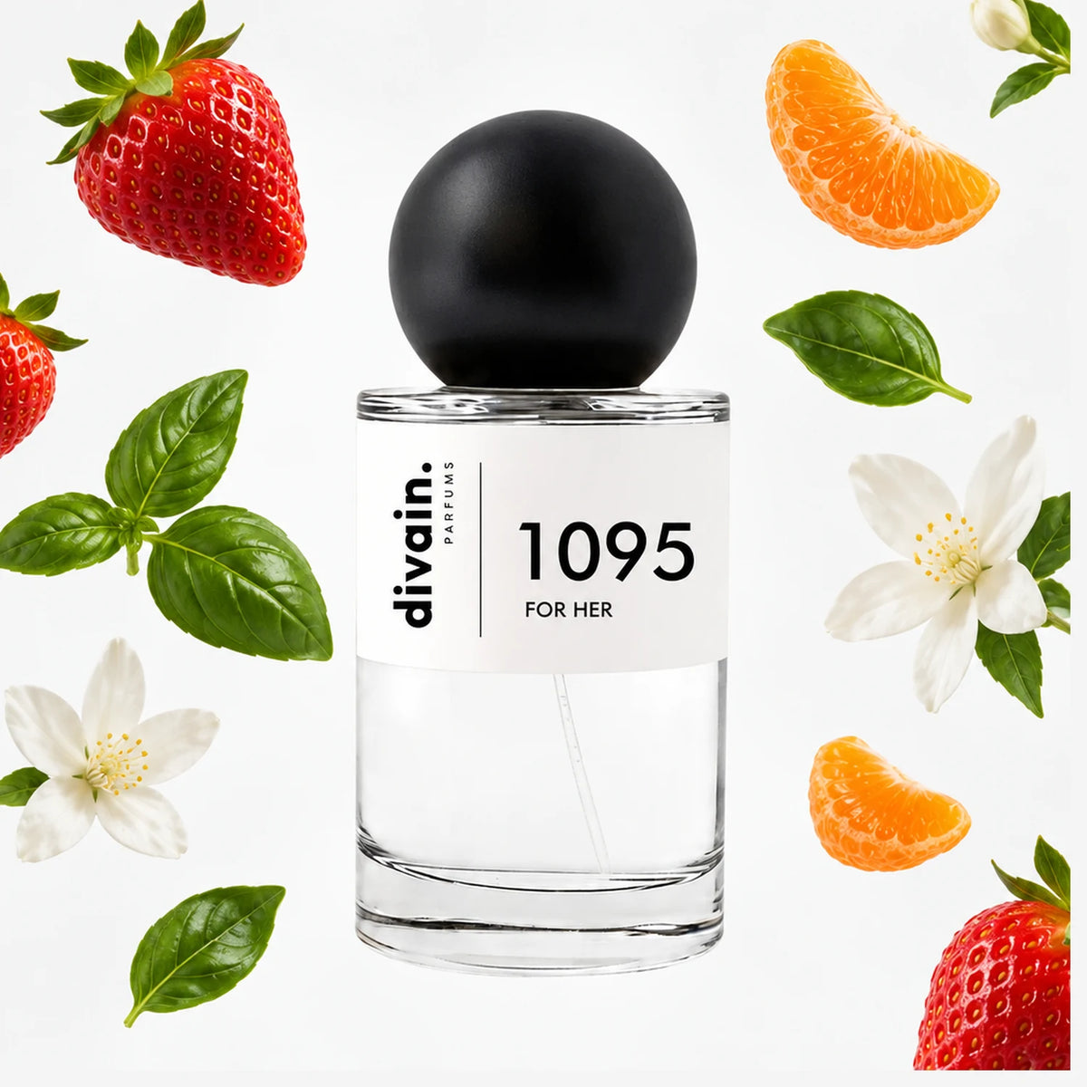divain-1095 notas