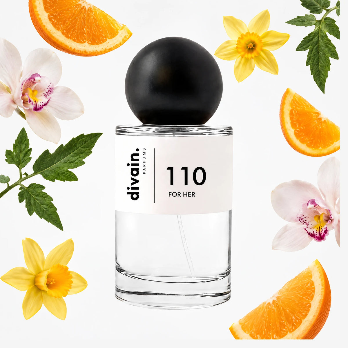 Pirámide olfativa perfume divain.110 | divain Parfums